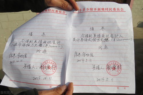 五、现实案例再现：个人陈述与平台建议