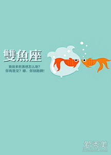 三、 财运概况及投资项目风险因素评估