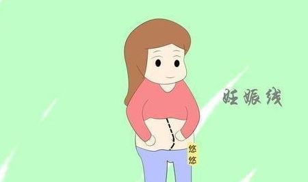 二、 生理阶段差异对妊娠线颜色深浅的影响