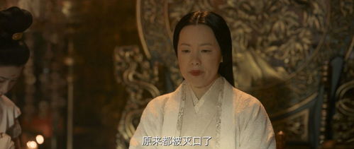 一、 段正淳的身份定位与时代背景