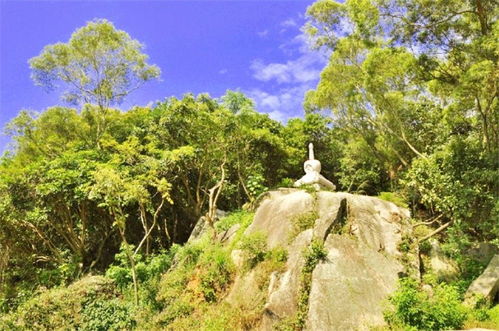 祖坟朝向对事业发展的影响