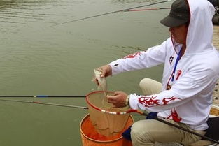 梦见钓到三条鱼有什么特殊预兆或好兆头？