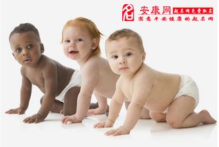 (三) 金属类——硬核硬气！