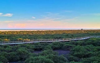 北海旅游：那些光鲜背后的坑！