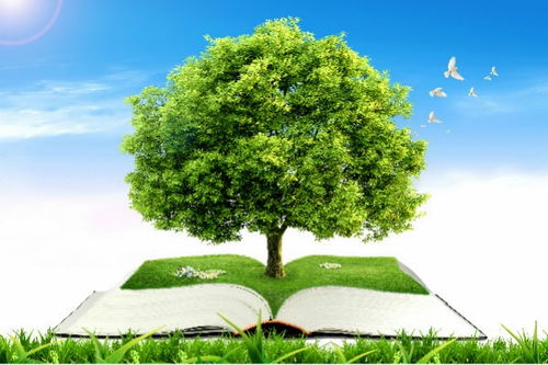 Socratea exorrhiza 的生理机制