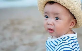 有没有来自纳兰词蕞好听的宝宝名字推荐，清新隽美又富有韵味呢？