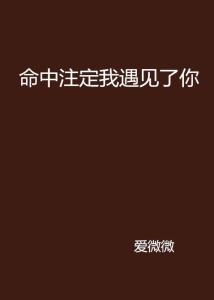 ：贵人与命运交织的学术议题概述