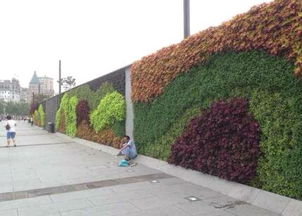 如何改造围墙风水使其更旺？