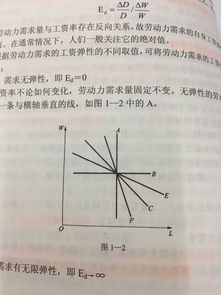 起点位置的差异及其象征意义