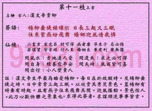 如何免费进行学习起名、算命、卜易和改名字服务？