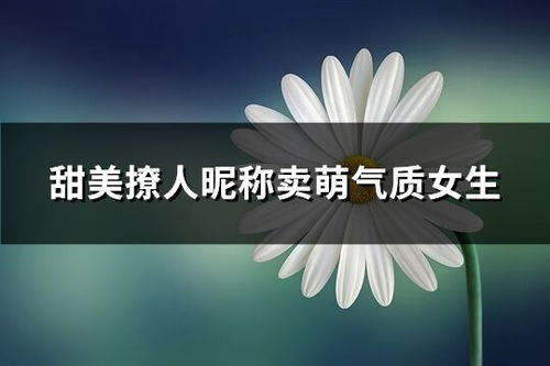 风水学原理在网络昵称中的融入机制