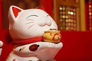 5. 地库有黑痣