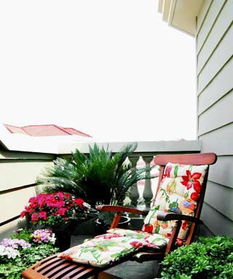 3、 光照条件及通风环境对麒麟摆设效果的影响