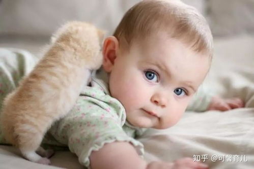 微笑阳光？强行乐观