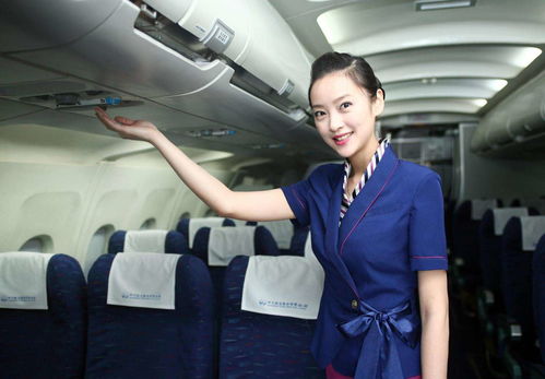 空中乘务员（空姐）的吉祥养龟习俗