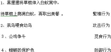 心理状态因素与网站信息呈现策略