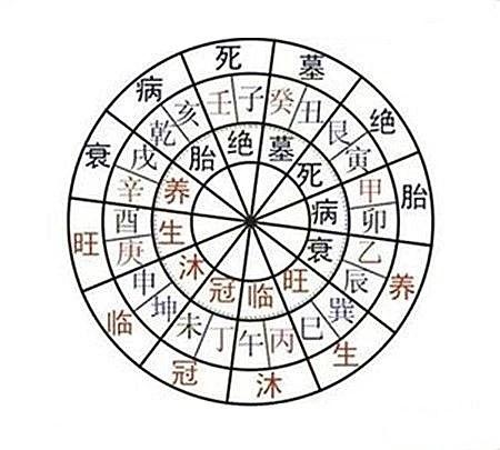 1. 自动出墓（透干露支）