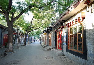 什刹海与南锣鼓巷：胡同里的烟火气