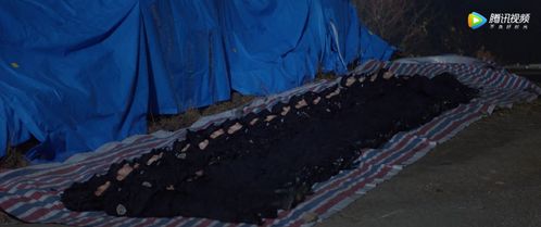 2. 特殊职业群体存在独特污染路径