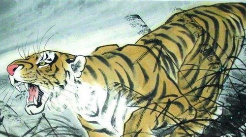 1974年属虎男性明天出行吉凶如何？未来运势怎样？