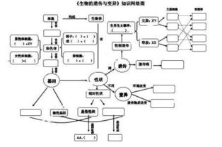 人类群体遗传因素更多样性的探究进展与应用前景