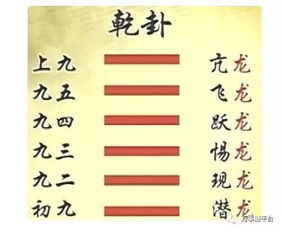 1．潜伏（初九）