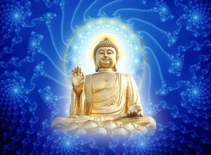 老虎的钱包密码