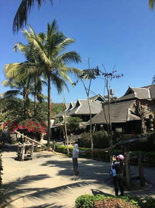 深度体验：在傣寨“虚度”三天 比打卡十个景点更值