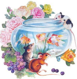 今天起，四大生肖财运爆发，财星高照，锦鲤翻身，是不是嫩命运？