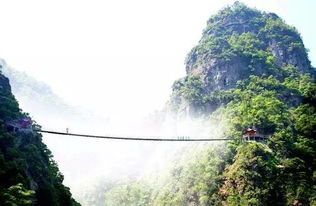 交通：通往绝望之路