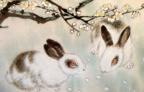 属兔的人婚姻财运如何，一生婚姻状况怎样？