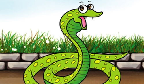 1. 招财物品的选取与摆放原则