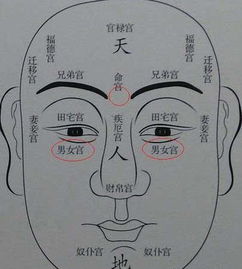 二、 人中细长对气量及社交适应性的影响
