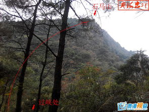 回龙顾祖风水能带来多大的财运和福运？