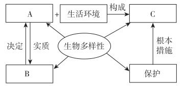 一、  理论基石：四象与水系的内在逻辑
