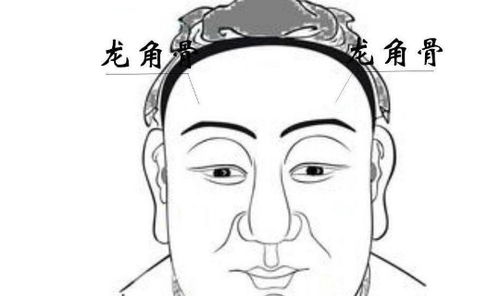 五、 龙角骨：果断与冒险精神的象征