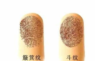 一、  “簸箕”与“凤命”：符号背后的文化意蕴