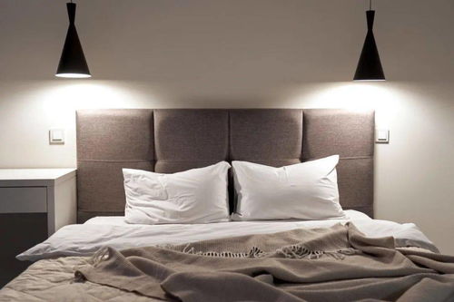 一、 本命年风水观念的文化溯源与现代解读