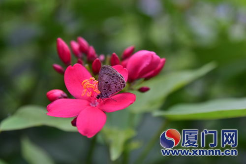 忠仑公园：花海盛宴的起点