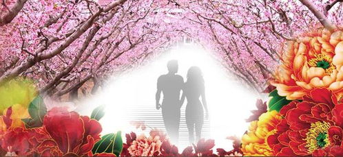 命理学视角下的桃花位解析与化解策略：聚焦于已婚男性群体情感风险因素管理