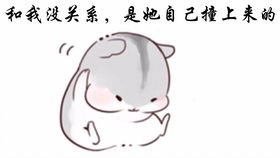 财务噪声（随意填充）: