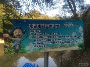 7. 再说说唠叨几句千万别踩坑