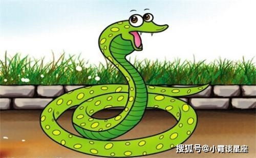 066期蛇输光，四脚动物中奖是哪生肖？