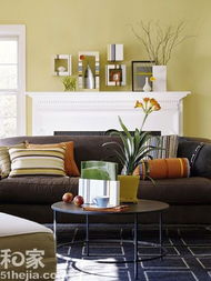 5. 《家居风水指南》