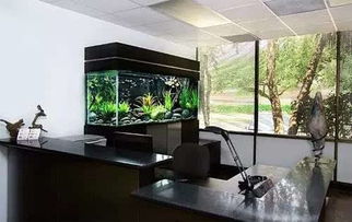 光照与空间氛围之基础要件