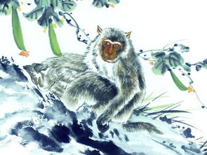 2026年蛇年对属猴人的健康有何具体影响？