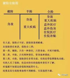五行命理与最佳时间段的关联性研究