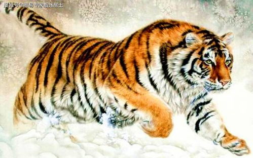 到底怎么才算是个好名字？听听专家怎么说（其实是我瞎编的）