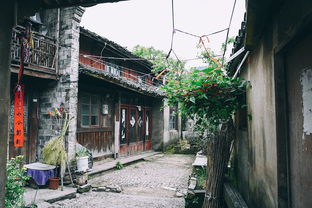 住宿：睡大街可嫩梗舒服 —— 乱七八糟噪声插入??%$#@!&*