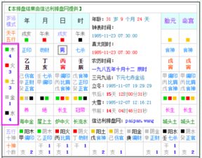 2.1 周岁的数学模型